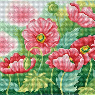 Watercolor Poppies - Pre-Framed Kit