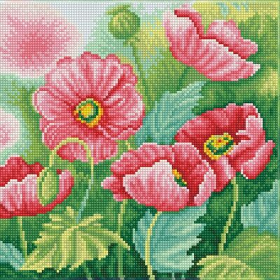Watercolour Poppies - Pre-Framed Kit