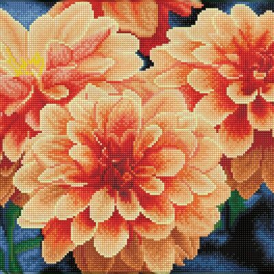 Peach Dahlias - Pre Framed Kit