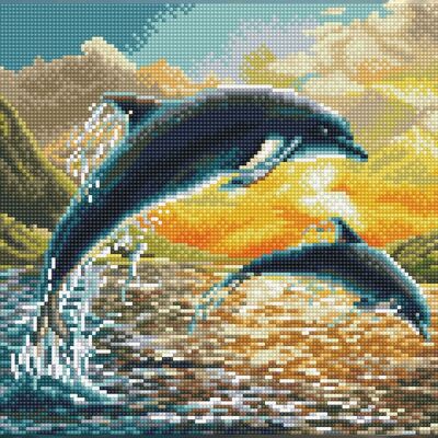 Dolphin Sunset - Kit pré-encadré