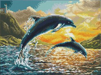 Dolphin Sunset - Kit pré-encadré
