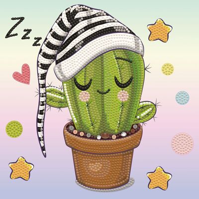 Cactus endormi