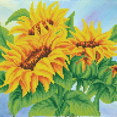 Wistful Sunflowers