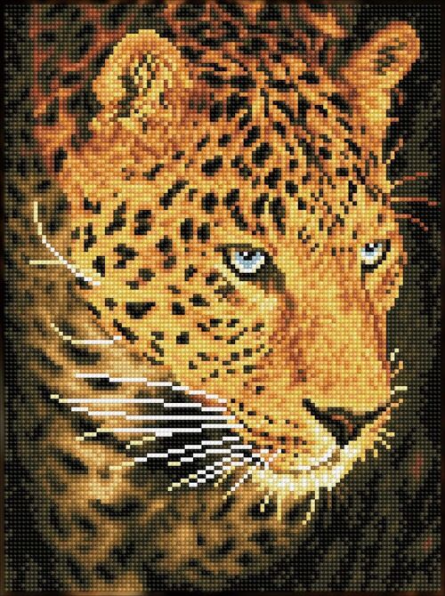 Leopard portrait