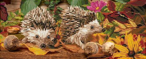 Hedgehog scramble