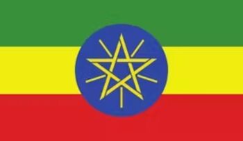 Café Moka Djimmah artisanal d'Ethiopie nature en Grain ou moulu - Grain d'infusion torréfacteur 4