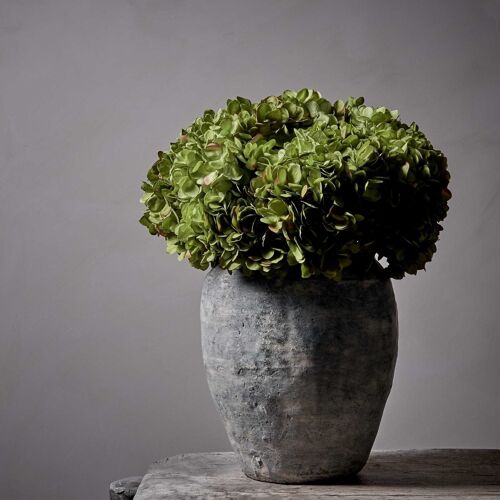 Hydrangea Green - Artificial Stem - Abigail Ahern