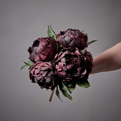 Peony Plum - Artificial Stem - Abigail Ahern