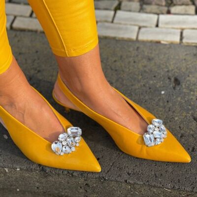 STYLISH SHOE CLIPS MOSCOU (paire)