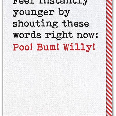 Poo Bum Willy Funny Birthday Card
