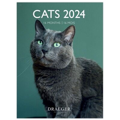 Small Calendar - Cats - September 2023 to December 2024