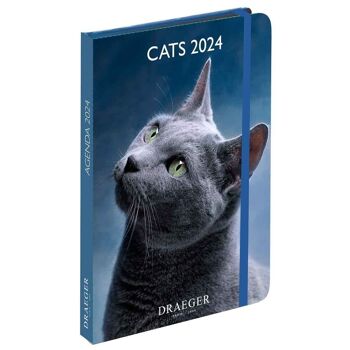 Agenda - Cats - Janvier 2024 à Decembre 2024 1