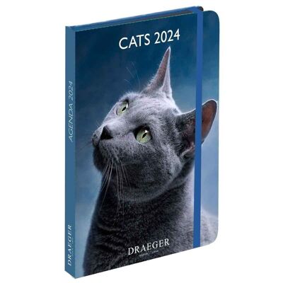 Agenda - Cats - Janvier 2024 à Decembre 2024