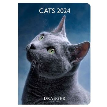 Agenda - Cats - Janvier 2024 à Decembre 2024 3