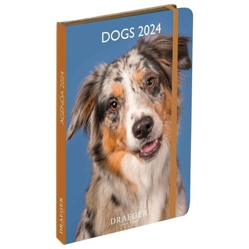 Agenda - Dogs - Janvier 2024 à Decembre 2024