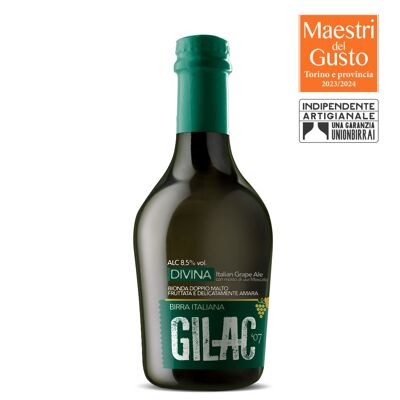 Birra Artigianale Bionda 33cl Divina - Italian Grape Ale - Box 15 Birre