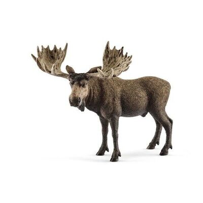 SCHLEICH - Wild Life - Moose, male - ref: 14781