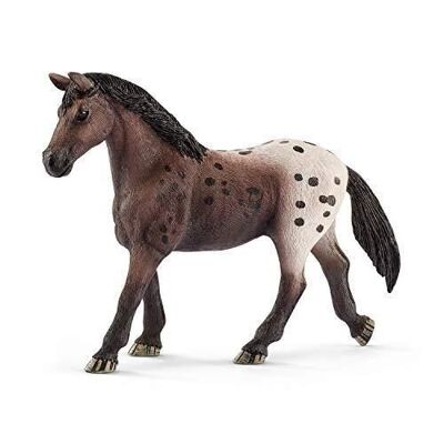 Schleich 13861 Appaloosa-Stute, ab 5 Jahren, Horse Club - Figur, 13,3 x 3,6 x 10,1 cm