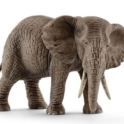 SCHLEICH - Wild Life - Éléphant d'Afrique femelle - réf :  14761