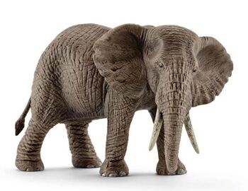 SCHLEICH - Wild Life - Éléphant d'Afrique femelle - réf :  14761 1