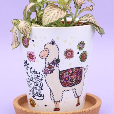 Pot de fleurs "Alpaca"