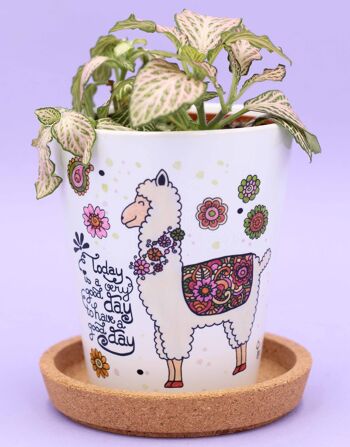 Pot de fleurs "Alpaca" 1