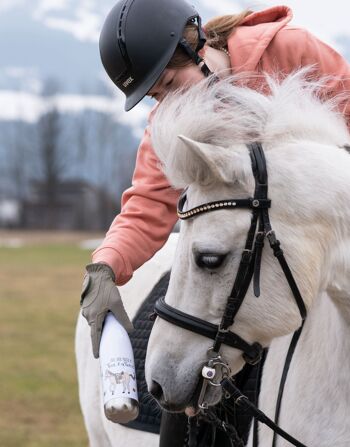 Gourde "All you need is... a horse" - 500ml 5