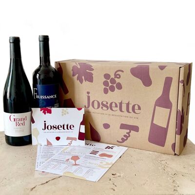 WINE: Beginner red wine tasting initiation box