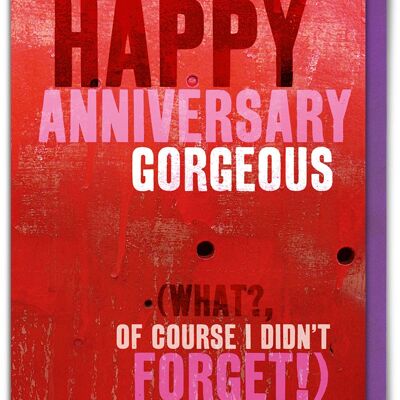 Happy Anniversary Gorgeous Funny Anniversary Card