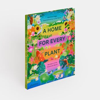 Une maison pour chaque plante 1
