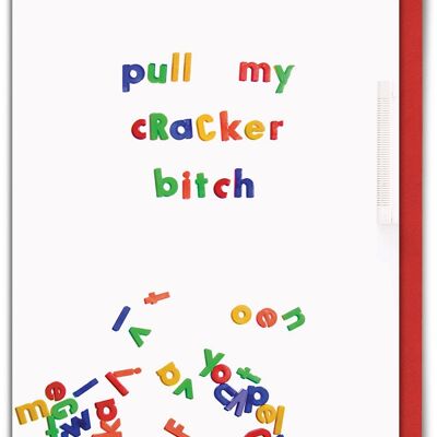 Xmas Pull My Cracker Bitch Funny Christmas Card