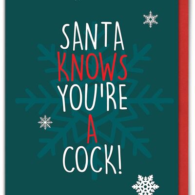Santa Knows Funny Christmas Card