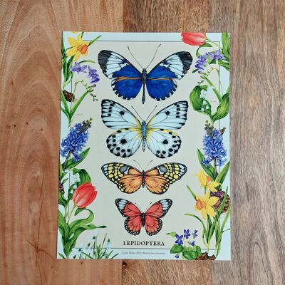 Poster mit Schmetterlingen und Frühlingsblumen – limitierte Auflage
