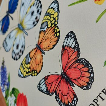 Affiche papillons et fleurs printanières - Série limitée 2