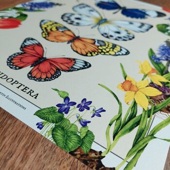 Affiche papillons et fleurs printanières - Série limitée 3