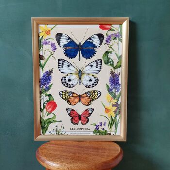 Affiche papillons et fleurs printanières - Série limitée 5
