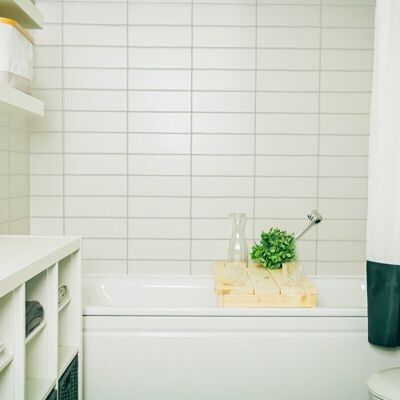 bathtub shelf