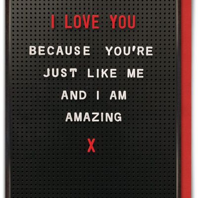 Just Like Me Amazing Funny Valentines Card