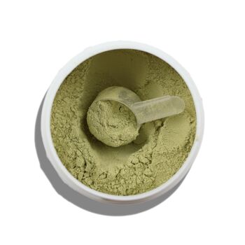 Superbelle - Matcha collagène marin en poudre - Acide hyaluronique 3