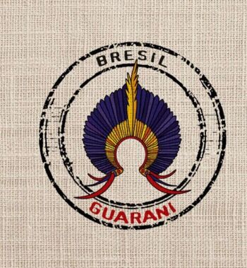 Café de spécialité Brésil - Guarani - 1kg - Grains 3