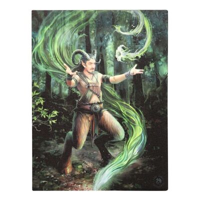 19 x 25 cm Earth Element Wizard Canvas Plaque par Anne Stokes