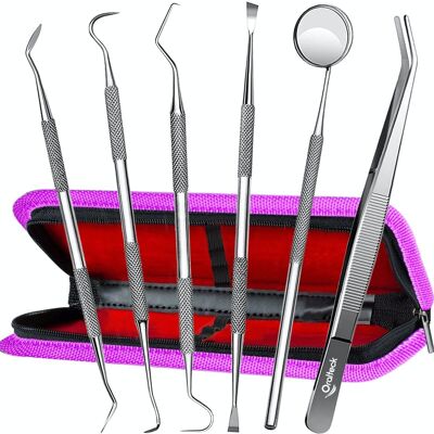 KIT PREMIUM TEDESCO PER LA PULIZIA E L'IGIENE DENTALE IN ACCIAIO INOSSIDABILE, PULITORE DELLA PLACCA, RIMOZIONE DEL TARQUE, 6 STRUMENTI PER LA CURA ORALE, CON CUSTODIA, ADATTO PER ADULTI BAMBINI E ANIMALI DOMESTICI (ROSA)