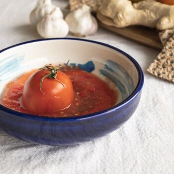 Assiette en céramique râpe à fromage et nourriture / Bleu et blanc - TUNA 4