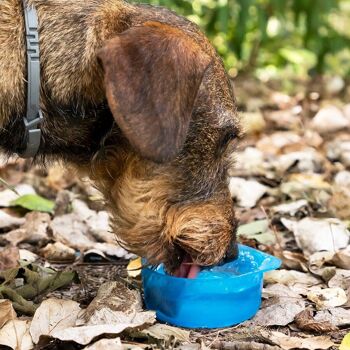 Bouteille 2-en-1 Pettap InnovaGoods avec Réservoir d'Eau et de Nourriture pour Animaux de Compagnie 3