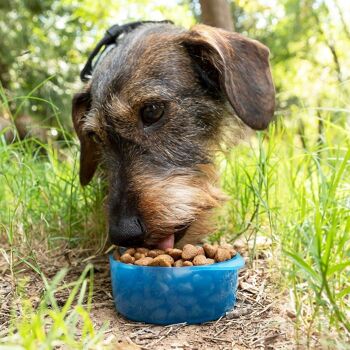 Bouteille 2-en-1 Pettap InnovaGoods avec Réservoir d'Eau et de Nourriture pour Animaux de Compagnie 7