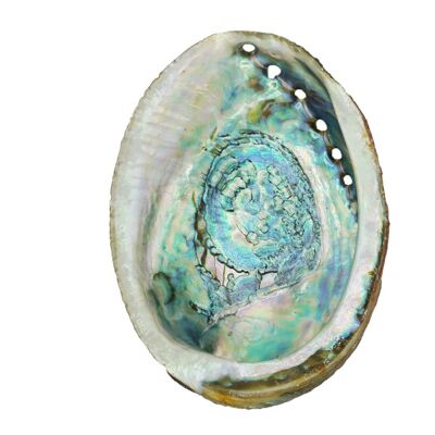 Abalone Smudge Schale zum Räuchern