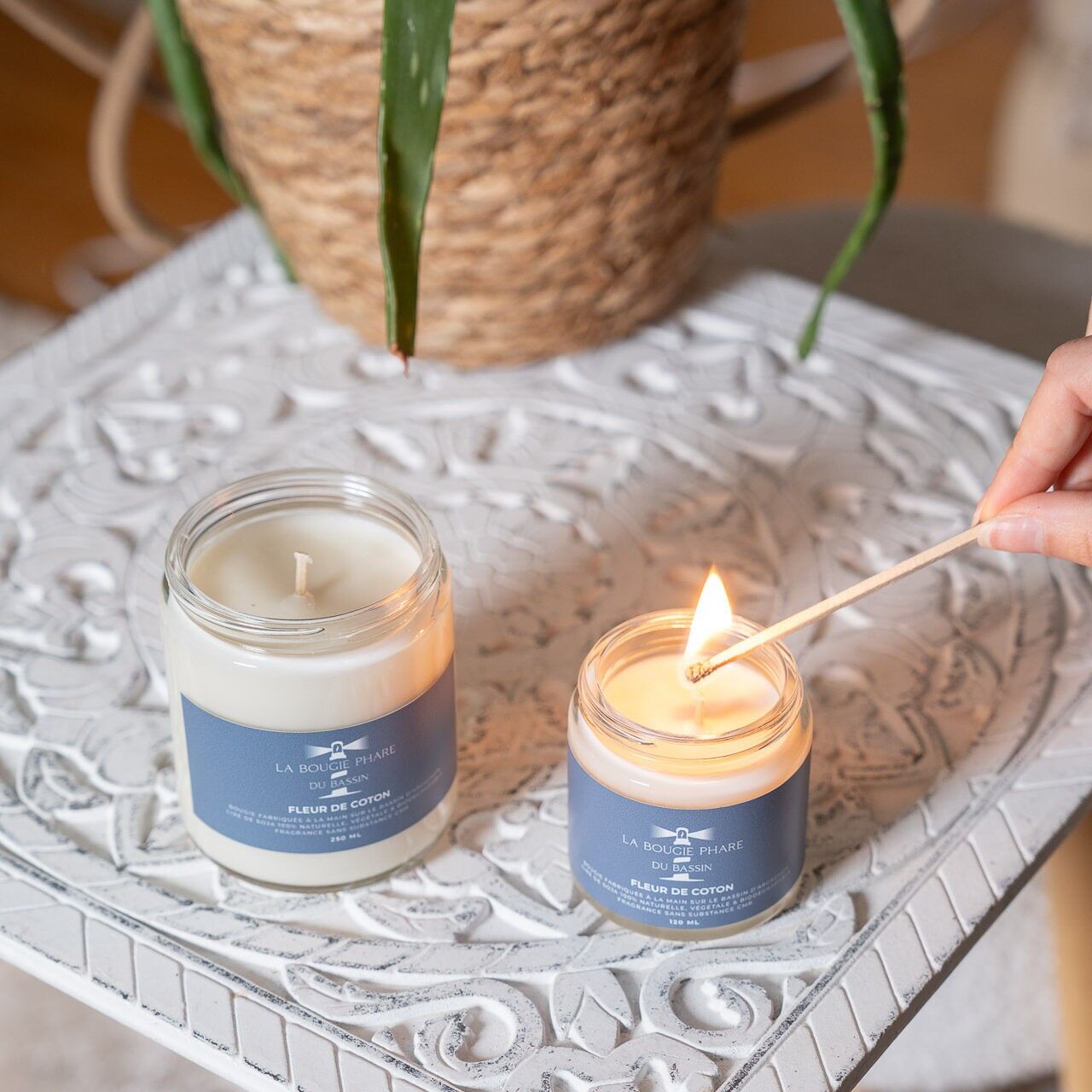 Vela Flor De Algodón