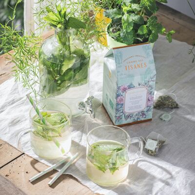 Summer pack special iced infusions (4 recipes * 3 boxes of 16 sachet-dose infusettes)