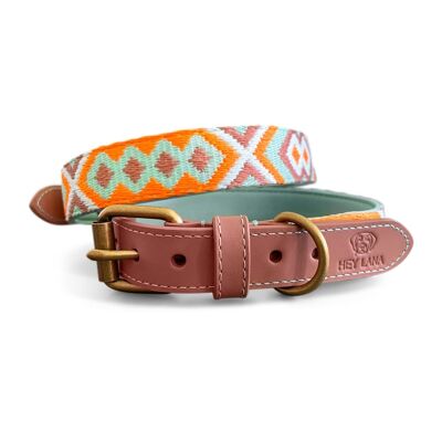 Premium Padded Dog Collar - Mint/Orange