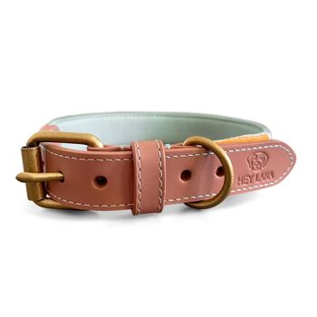 Collier pour Chien Rembourré Premium - Menthe/Orange 3